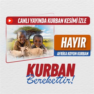 Hayır Kurbanı Koyun