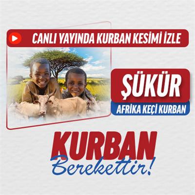 Şükür Kurbanı Keçi