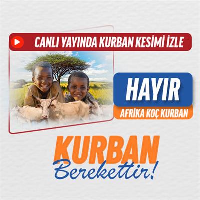 Hayır Kurbanı Koç