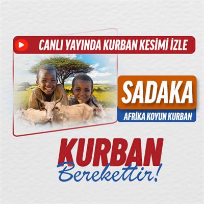 Sadaka Kurbanı Koyun