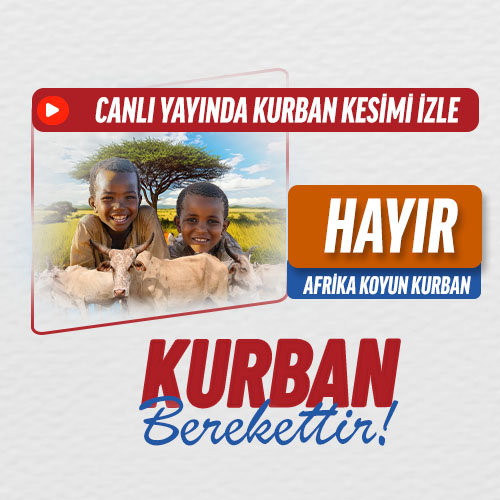 Hayır Kurbanı Koyun