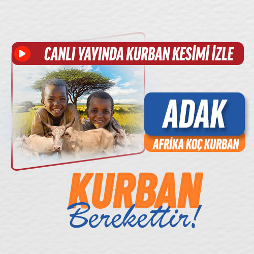Adak Kurbanı KOÇ