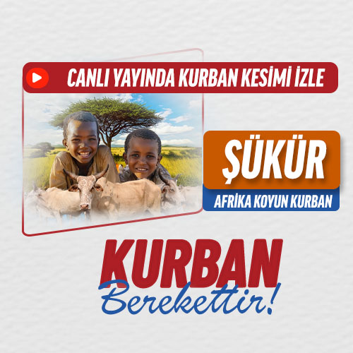 Şükür Kurbanı